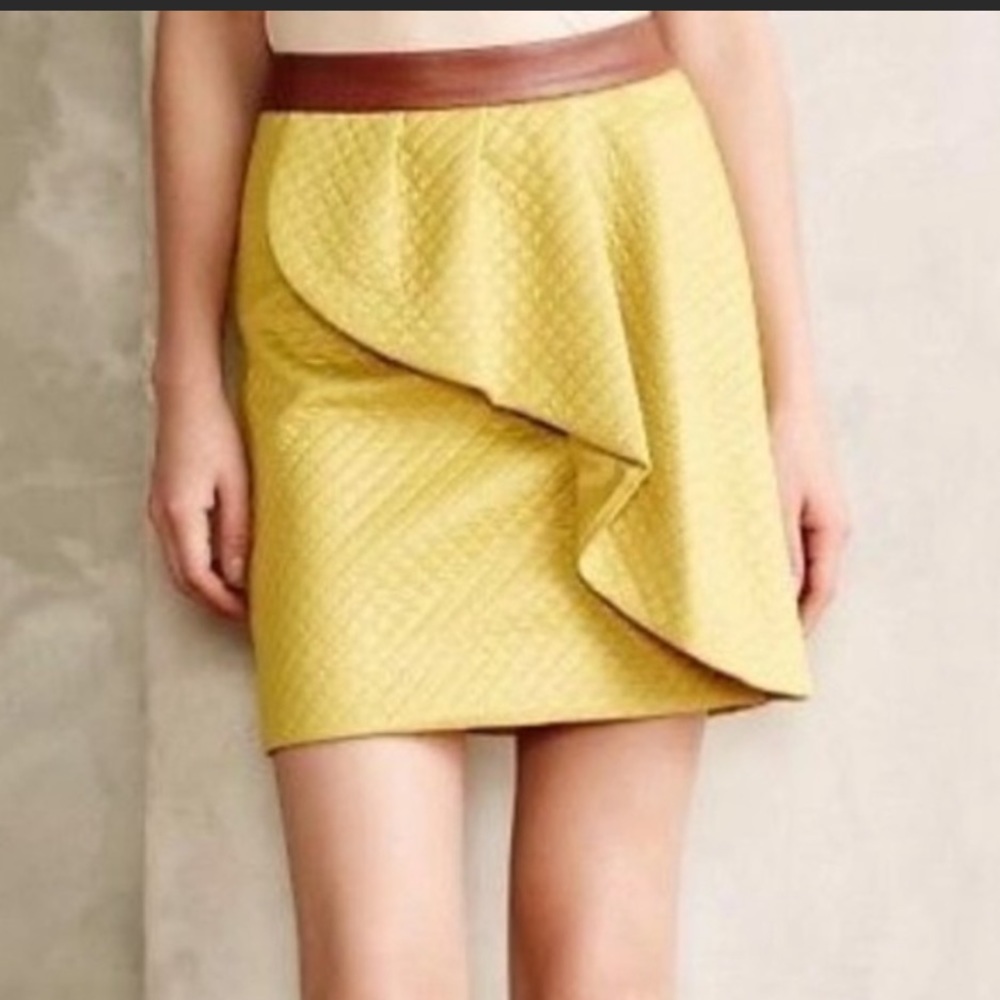 NWOT Anthropolgie skirt